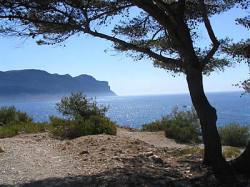 property in cassis
